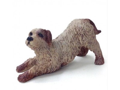Hund zu Silencio Nr. 050288